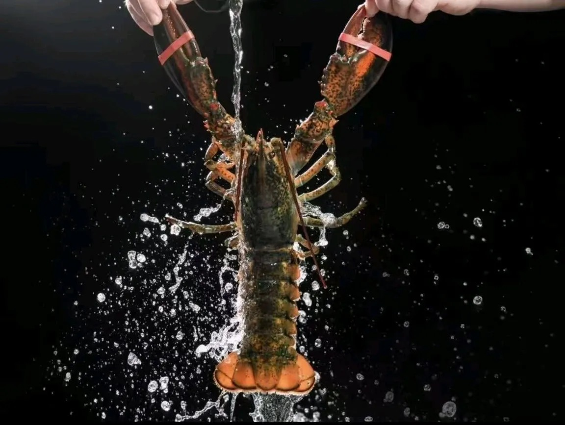 深圳海鲜